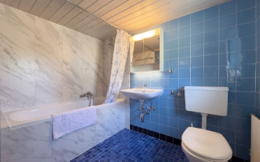 Einfamilienhaus 10 Zimmer - image - 10