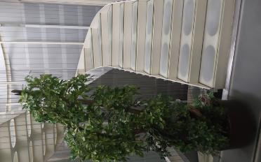 Shop 6 rooms - image - 7