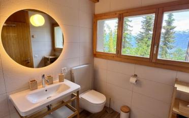 Chalet 7 pièces - image - 2