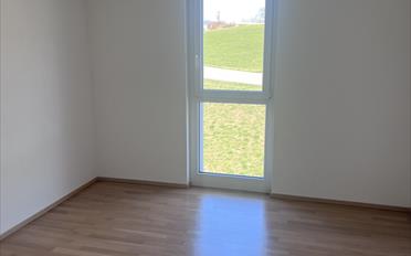 Apartment 5.5 rooms - image - 7