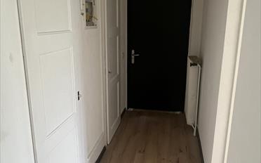 Wohnung 3.5 Zimmer - image - 13
