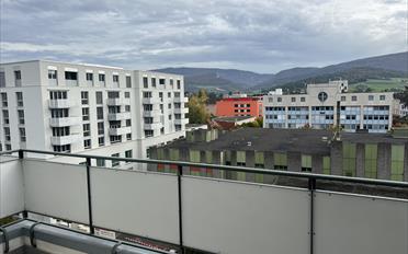 Wohnung 2.5 Zimmer - image - 2