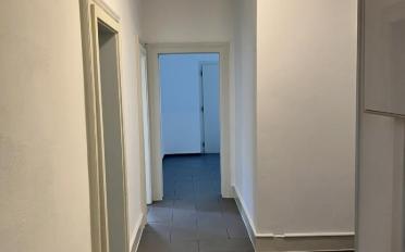 Wohnung 3 Zimmer - image - 4
