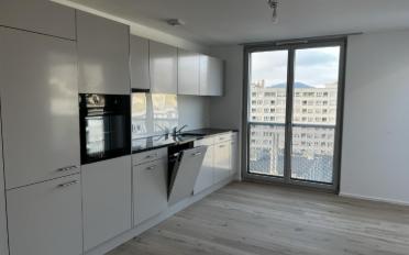 Dachwohnung 4.5 Zimmer - image - 3