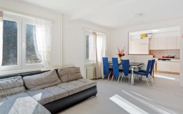 Appartement 4.5 pièces - image - 2