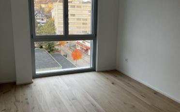 Apartment 2.5 rooms - image - 3