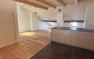 Loft 1.5 pièces - image - 2