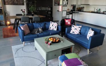 Wohnung 3.5 Zimmer - image - 2