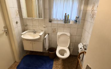 Single house 7.5 rooms - image - 12