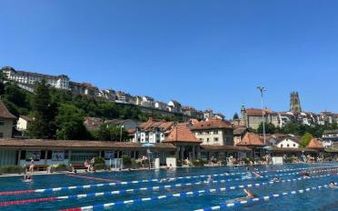 Apartment 2.5 rooms - image - 12