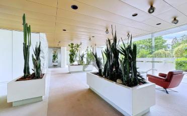 Apartment 5.5 rooms - image - 3