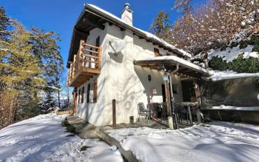 Chalet 3.5 rooms - image - 2