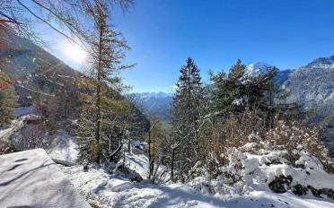 Chalet 3.5 rooms - image - 6