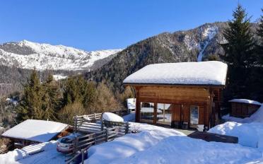 Chalet 10 rooms - image - 9