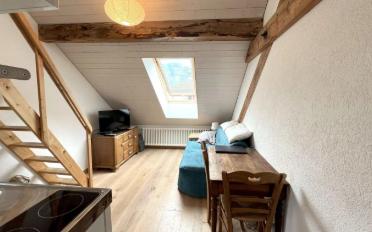 Immeuble mixte 7 pièces - image - 10