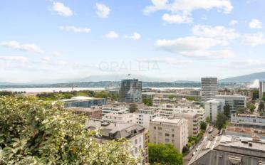 Wohnung 9 Zimmer - image - 1