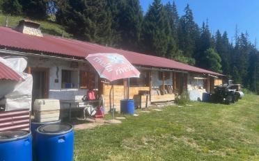 Chalet 3 rooms - image - 1