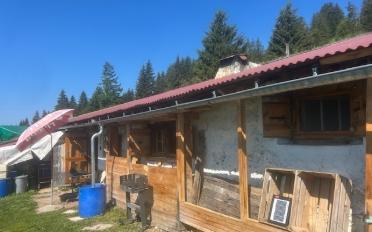 Chalet 3 rooms - image - 4