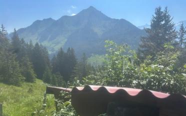 Chalet 3 rooms - image - 10