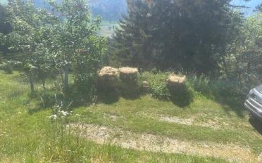 Chalet 3 rooms - image - 12
