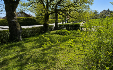 Maison jumelée 6 pièces - image - 10