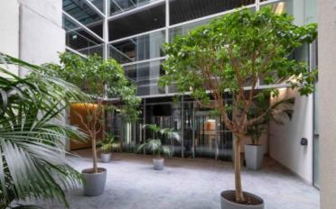 Office - image - 4