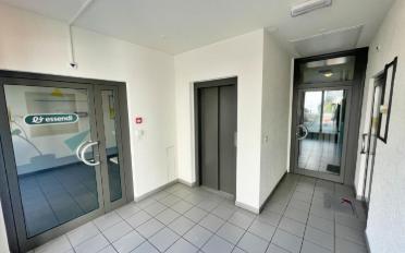 Office 7.5 rooms - image - 12