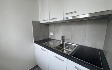 Appartement 1.5 pièces - image - 2