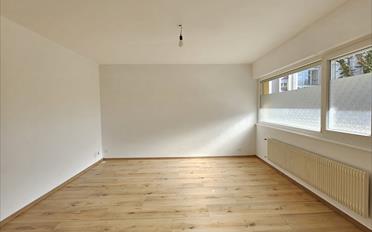 Wohnung 2.5 Zimmer - image - 3