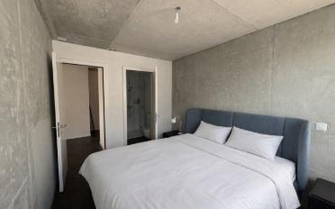Wohnung 3.5 Zimmer - image - 5