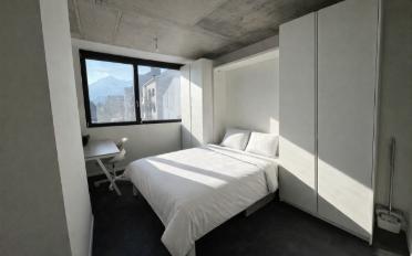 Wohnung 3.5 Zimmer - image - 4