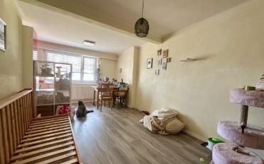Wohnung 2.5 Zimmer - image - 2