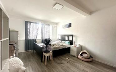 Wohnung 2.5 Zimmer - image - 3