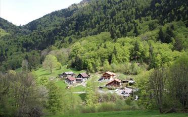 Chalet 5.5 Zimmer - image - 4