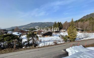 Chalet 5.5 pièces - image - 1