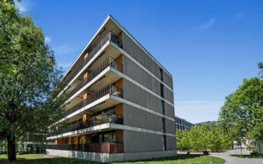 Wohnung 3.5 Zimmer - image - 1