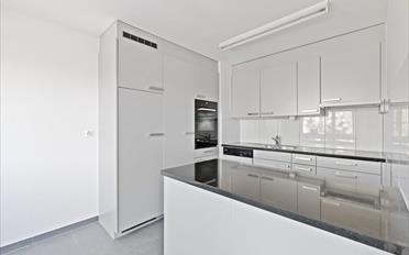 Appartement 3.5 pièces - image - 4