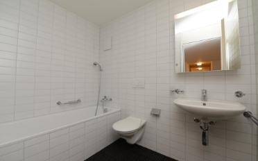 Attic flat 5.5 rooms - image - 9