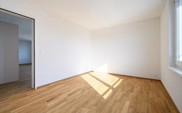 Wohnung 4.5 Zimmer - image - 3
