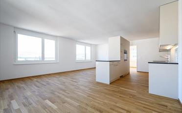 Wohnung 4.5 Zimmer - image - 2
