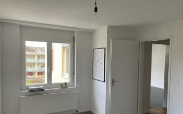Wohnung 2.5 Zimmer - image - 5