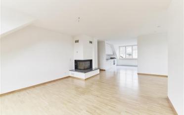 Dachwohnung 5.5 Zimmer - image - 2