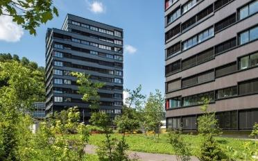 Wohnung 2.5 Zimmer - image - 1