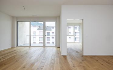 Wohnung 2.5 Zimmer - image - 2