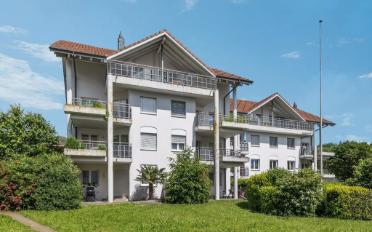 Wohnung 2.5 Zimmer - image - 1