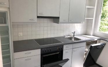 Apartment 3.5 rooms - image - 2
