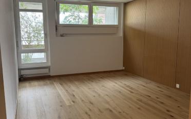 Attic flat 2.5 rooms - image - 2