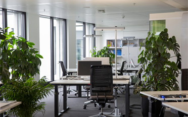 Büro - image - 1