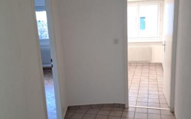 Wohnung 2.5 Zimmer - image - 1
