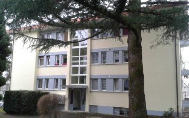 Wohnung 2.5 Zimmer - image - 1